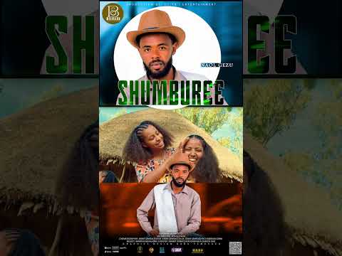 Naol Gezu Shumburee