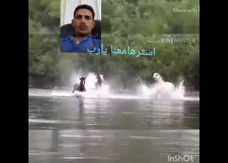 يا جرح فى ضهر الفرس لكل متغرب عن اهله