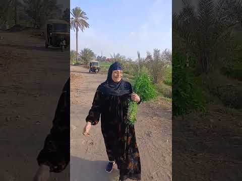 هات ايديك يا ولا وتعاله نجريتتر ولد وبنت وشايب الحاجه نبيله الباميه شوكتني الحاجه نبيله اكسبلور