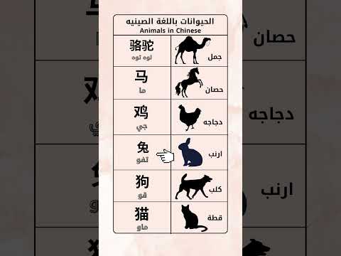 الحيوانات باللغه الصينيه لغة الصينية اللغة الصينية