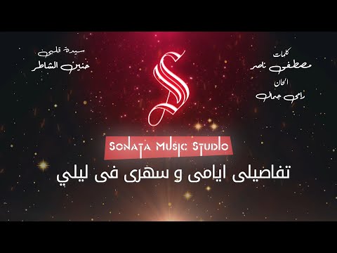 سيدة قلبى حنين الشاطر كاريوكى موسيقى بالكلمات Karaoky With Lyrics