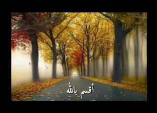  والله لو اجتمعت عليك دنيا كلها على ان يضروك بشيئ ما ضروك ما كتبه الله عليك والله ما ضروك الثقة
