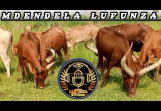 MDENDELA LUFUNZA UJUMBE WA IGEMBE 2026 BY MSAMBAZAJI LUFUNZA MANYANDA