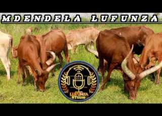 MDENDELA LUFUNZA UJUMBE WA IGEMBE 2026 BY MSAMBAZAJI LUFUNZA MANYANDA