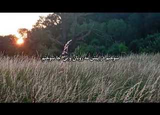 داغ تنهایی رهی معیری آنقدر با آتش ساختم تا سوختم