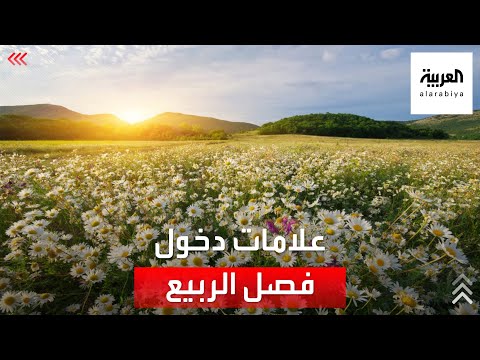 ما علامات دخول فصل الربيع