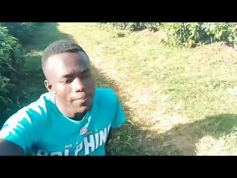 Maisha Magumu Song Trailer