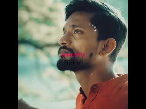 දළද ව හ ව හඩ ඇහ නක ට Daladawe Hewa Handa ච මර ව රස හ Whatsapp Status Chamaraweerasinghe