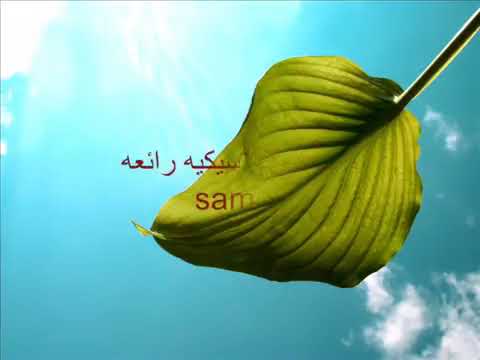 موسيقى كلاسيكيه رائعه