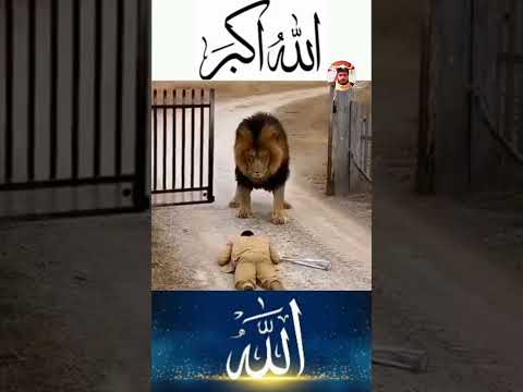 إذا كان الإيمان بالله ثابت ا في القلب فلا تتعث ر الخطوات أبد ا اكسبلور لایک Shorts
