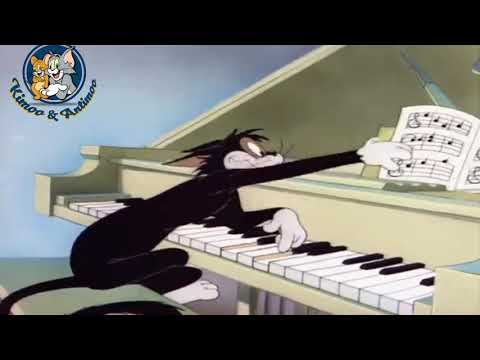 عبد الباسط حمودة اسمحولي اقولكم Kimoo Antimoo هدفنا نسعدكو عبد الباسط حمودة اسمحولي اقولكم Kimoo Antimoo هدفنا نسعدكو