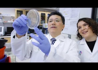  Ming Ming Zhou PhD