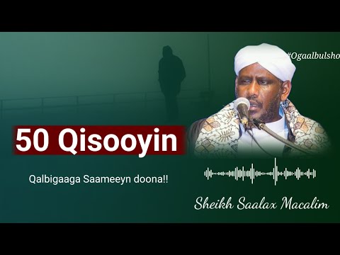 50 Qisooyin Qalibaaga Saameyn Doona Ku Cimro Qaadasho Mudan Sheekh Saalah Macalim OGAALBULSHO