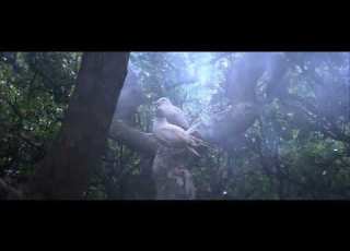 Jonathan Livingston Seagull 1973 Be Neil Leslie Diamond 4K HDR