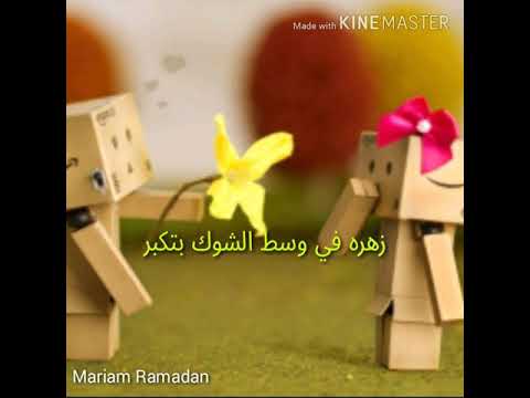 أغنيه زهره بدون موسيقى حمزه نمره