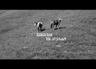 შენ ალაზანო ჩვენებური Shen Alazano Chveneburi შენალაზანო Shenalazano