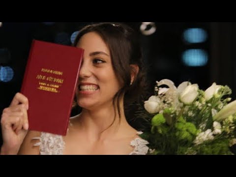 يا اميرة كل النجمات وائل كفوري نبضات القلب ايلول ايلول