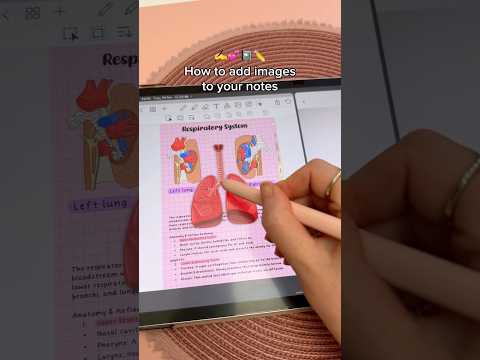 How To Add Images To Your Notes Samsung Galaxy Tab S9 Penly Android App Digital Note Taking