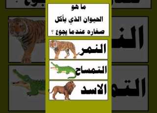 سؤال وجواب حيوان ياكل صغاره عندما يجوع