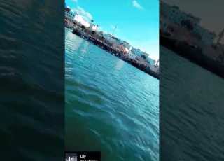  Shorts Youtub Shorts Vidios Aridk Ya Ghali أريدك يا غالي