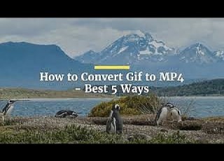  How To Convert Gif To MP4 Best 5 Ways