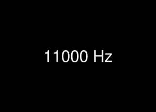  Sine Wave 11000 Hz 11 KHz For 1 Hour Test Tone
