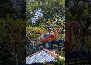 Odong Dino Di Atas Rel Dino Odongodong