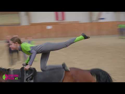 Voltigierturnier WBO 2025 Reit Voltigierverein Langen E V