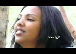 عثمان حسين ما بصدقكم دا حبيبى الروح بالروح تغريد محمد