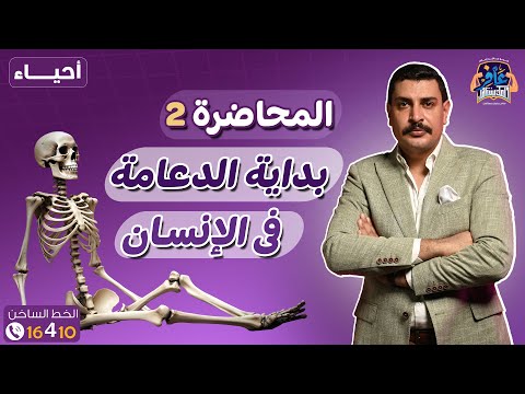 محاضرة 2 أحياء بداية الدعامة في الإنسان دفعة 2026 افرم المحاضرة وتابع أول بأول يا بطل