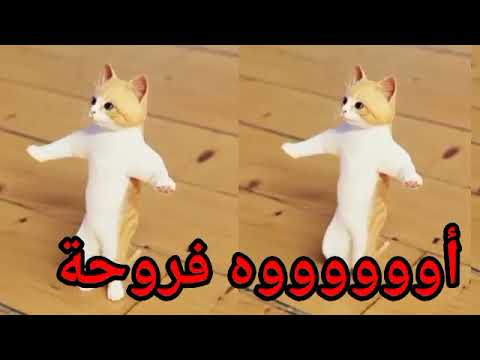 اغنية فروحة فرح الحلوة اغنية باسم فروحه السعودية الكويت العراق تركيا البحرين الجزائر دبي الرياض