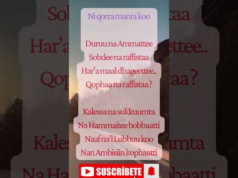 Walaloo Jaalalaa Walaloo Jaalala OromoShorts Oromomusic Ethiopia Walaloo Jaalalaa Walaloo Jaalala OromoShorts Oromomusic Ethiopia