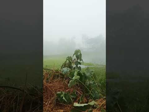 Ibrahim Alaihissalam Vabsilenke Amar Rab Shorts Shortsfeed Ibrahim Alaissalam Vassilen Islamic Vi