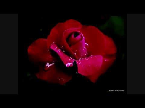 مشتاق اضمك هاني العمري Mushtak Aadoumeek Hani El Omari