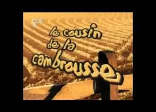 Oggy Et Les Cafards Le Cousin De La Cambrousse S02E09 Cartes De Crédit