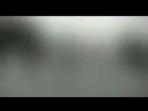 فاضل المزروعي ونيت ونه