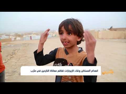 النازحون في مخيم الجفينة بمأرب أوضاع معيشية صعبة وافتقار للخدمات تقرير خليل الطويل النازحون في مخيم الجفينة بمأرب أوضاع معيشية صعبة وافتقار للخدمات تقرير خليل الطويل