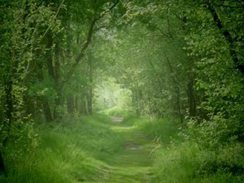 Air Johann Sebastian Bach