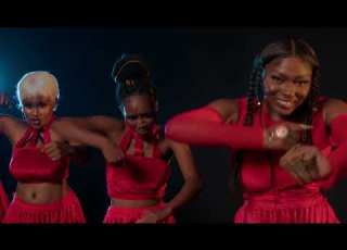 Sefa FEVER Ft Sarkodie DJ Tira Official Music Video