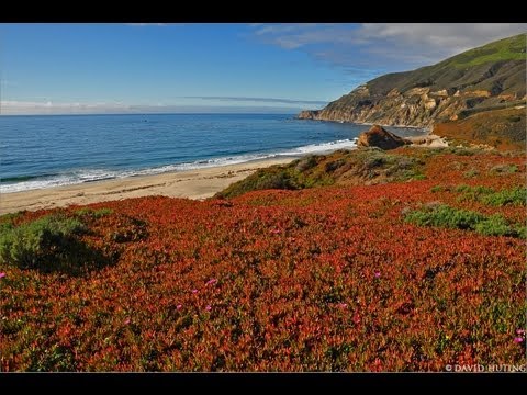 The California Coast W Music 1 HR HEALING Nature Relaxation Video W Music 1080p