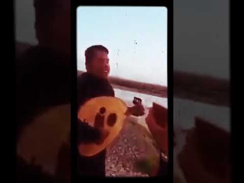 عود عراقي قديم لونه بين شط الفرات