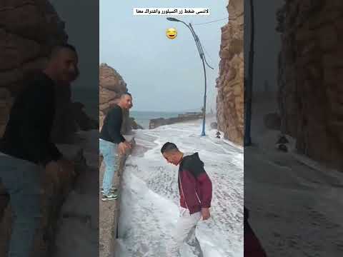 موجة أسطورية سكيكدة مول موطو هرب فيهم باقي كامل دوشو تفرت فيهم انتبهوا لسلامتكم Funny