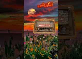 انگیزشی 1