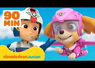 PAW Patrol Stella De La Pat Patrouille Est Prête à S Envoler Nickelodeon Jr France