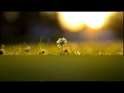 دعاء تخشع له القلوب وتطمئن به النفوس للشيخ مشاري العفاسي دعاء تخشع له القلوب وتطمئن به النفوس للشيخ مشاري العفاسي