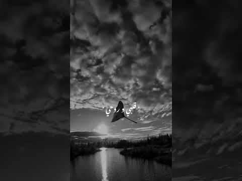 اصاله فقدت نفسي لما صرت اتبعها فعظم الله اجري