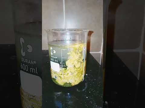 راسب الذهب في الترسيب شاهد لون الراسب يفهم من خبير بهذا المجال معلومات