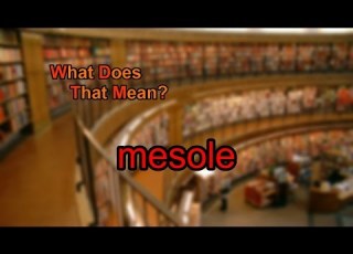 What Does Mesole Mean