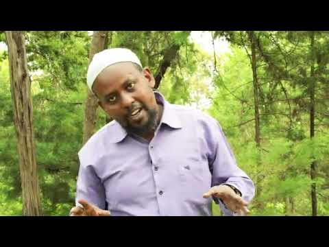 Shek Jamal Hajii Horse Aj Ibaa