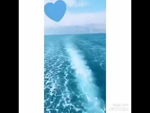 اغنيه عايم في بحر الغدر